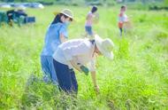 【上海本地亲子营】十一悠然农场一日营开始预定！