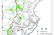 人工饲养东北虎已超1000头，野生东北虎择偶困难，为啥不放生？