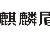 隐形车衣该怎么选？威固？还是麒麟盾甲？