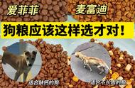 狗粮别乱喂！不然后悔莫及