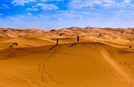 为什么在沙漠地区旅游不能随便喝水？在口渴也不行，看完就明白了