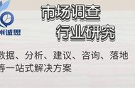 2023-2029全球无糖电解质粉末行业调研及趋势分析报告