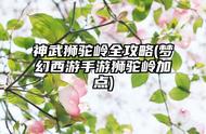 梦幻西游手游狮驼狮驼岭全攻略怎么搭配岭法宝