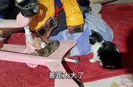 怎样能练练胆？ 要不去鬼屋里待几天？？？ #猫咪