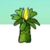 植物大战僵尸融合NIEJO版手机版_植物大战僵尸融合NIEJO版手机版专区