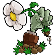 植物大战僵尸转基因版官方版