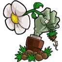 植物大战僵尸转基因版2.0