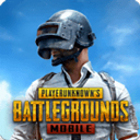 pubg兼容版_pubg兼容版专区