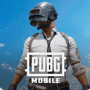 吃鸡国际服pubg_吃鸡国际服pubg专区